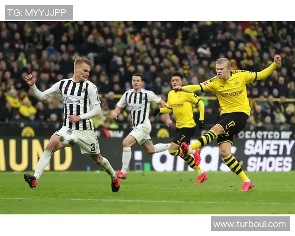 德甲焦点战：弗赖堡对决多特蒙德胜负已明快来下注绝不错过良机